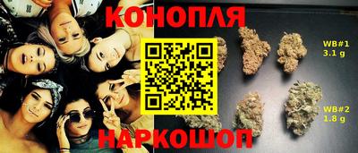 прущие грибы Гусь-Хрустальный