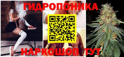 прущие грибы Гусь-Хрустальный