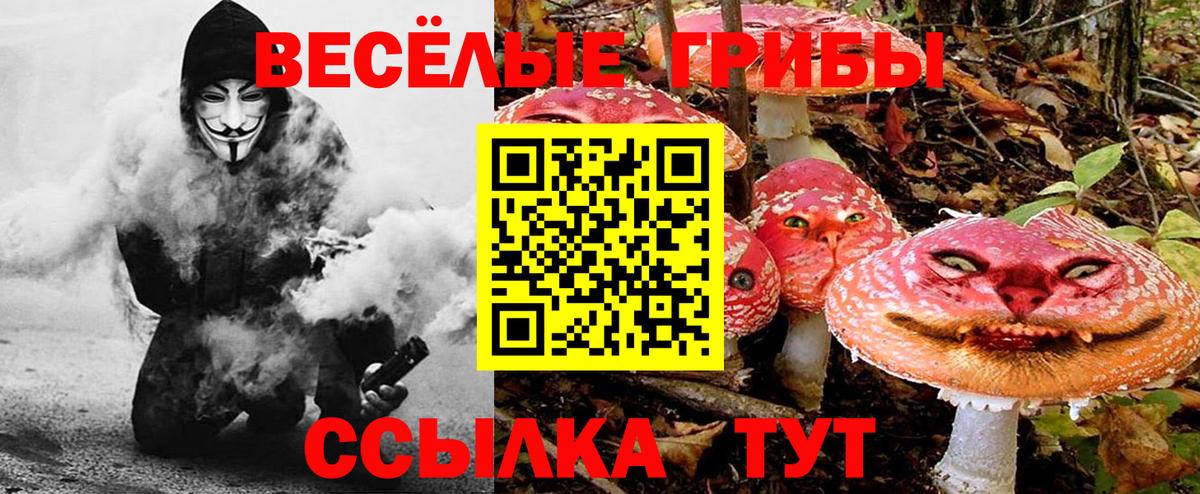 Галлюциногенные грибы Psilocybe  Псилоцибиновые грибы MAGIC MUSHROOMS  Назарово  Вход с VPN 