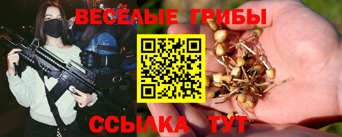 Галлюциногенные грибы мицелий Назарово